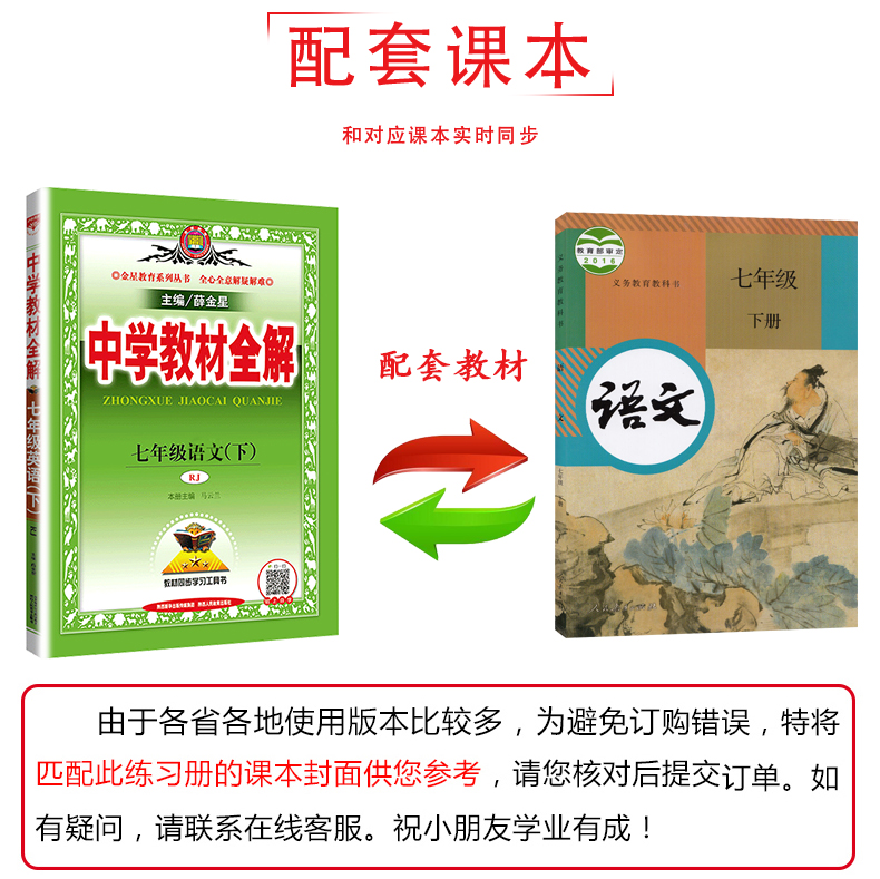 2020新版薛金星教材全解七年级下册语文教材全解 人教版RJ  7年级初一中学教辅同步课文讲解 中学教材全解七年级下语文书教材解读
