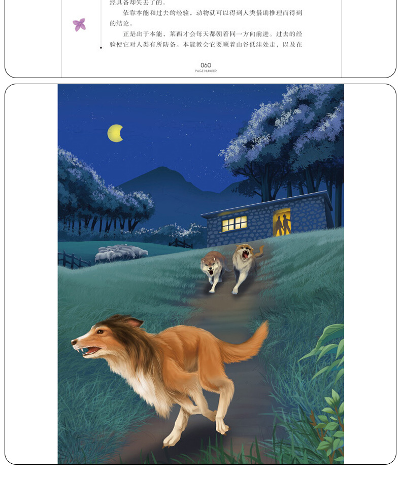 灵犬莱西 正版图书 国际大奖儿童文学美绘典藏版 9-10-12岁小学生课外阅读书籍畅销书三四五六年级必读课外书包邮