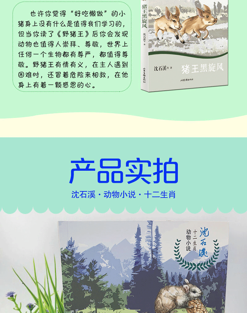 沈石溪十二生肖动物小说全套12册 最后的马王 雄猴的战争 小学生中学生课外阅读书籍少年儿童6-9-12-15周岁故事读物沈石溪的书全集