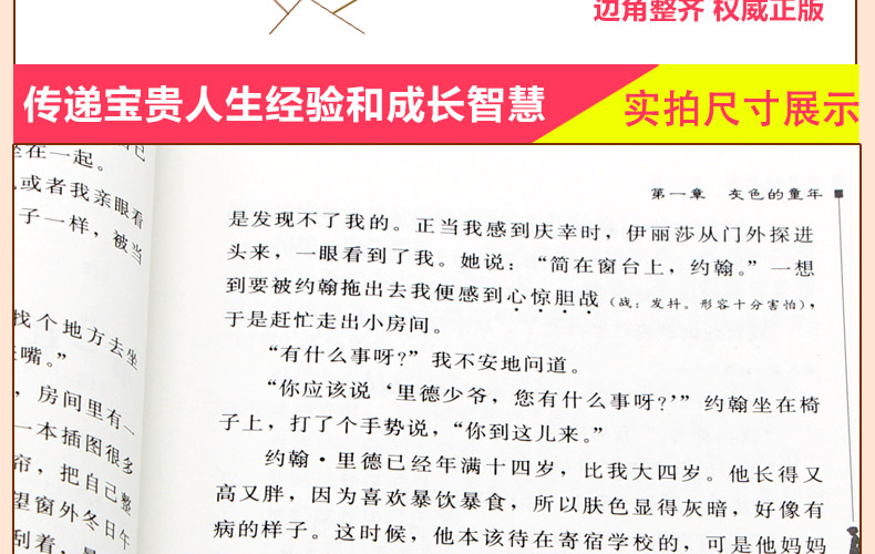 艾青诗选儒林外史简爱共3册正版现货原著九年级上无障碍阅读课外书籍带赏析 初中生必读经典世界名著白话文青少年版9年级必读名著