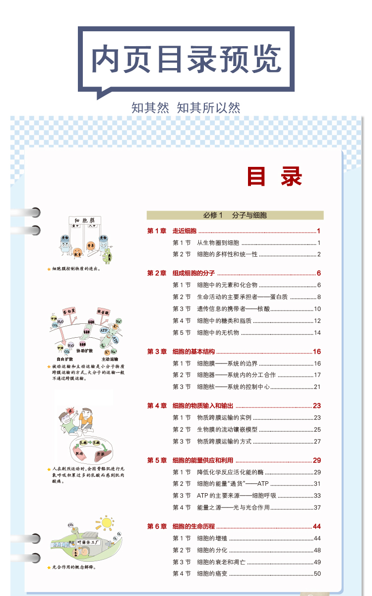 2020课标新版学霸笔记高中生物必修选修通用版高一高二高三教材全解基础知识手册大全理科理综高考一二轮总复习教辅书资料PASS绿卡