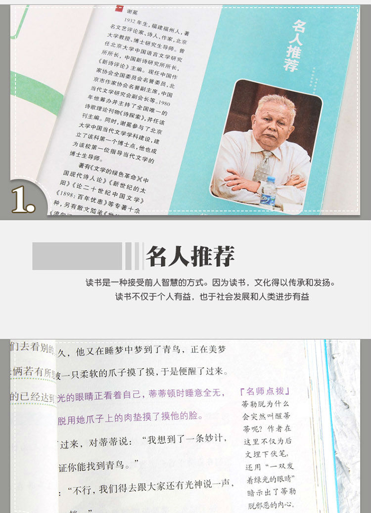 4本36.8元】 青鸟彩图精彩释义批注点评名师导读无障碍阅读语文课文名家选国学经典6-15岁中小学生儿童文学中外名著阅读书籍