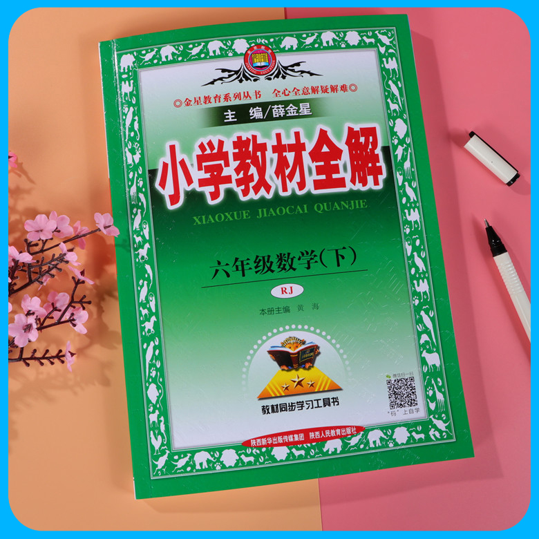 新版2020春薛金星小學教材全解六年級下冊數學全解輔導書人教版六年級