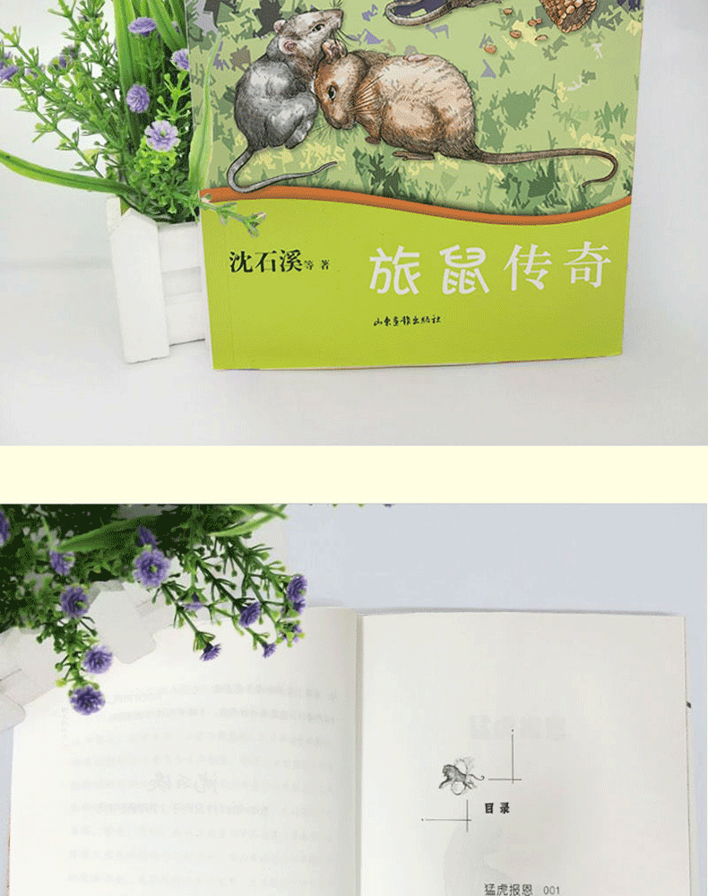 沈石溪十二生肖动物小说全套12册 最后的马王 雄猴的战争 小学生中学生课外阅读书籍少年儿童6-9-12-15周岁故事读物沈石溪的书全集
