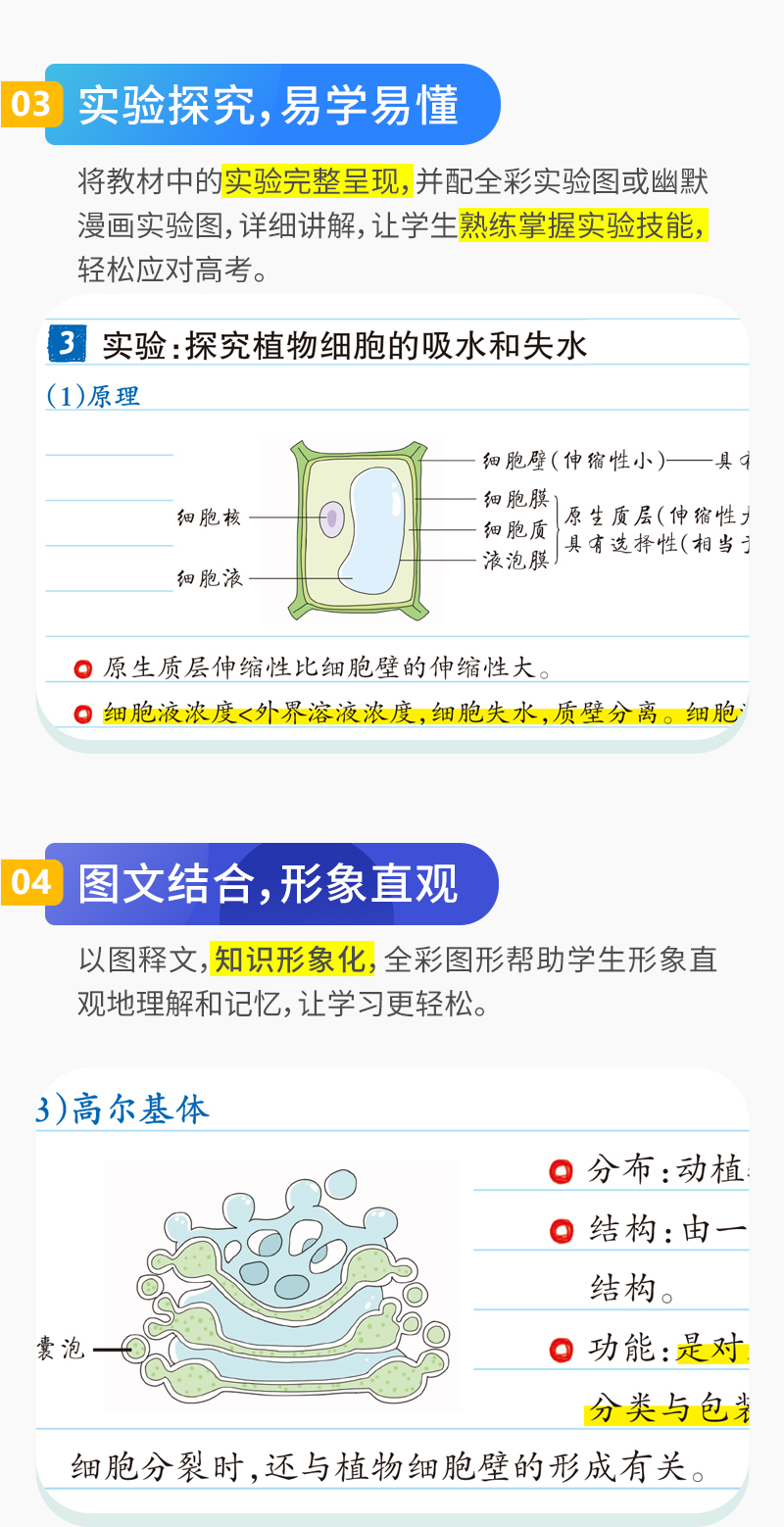 【高中生物 全国版】2021新版学霸笔记高中生物 PASS绿卡图书漫画图解 高一1高二2高三3适用 高考生物状元提分笔记 高中复习资料书