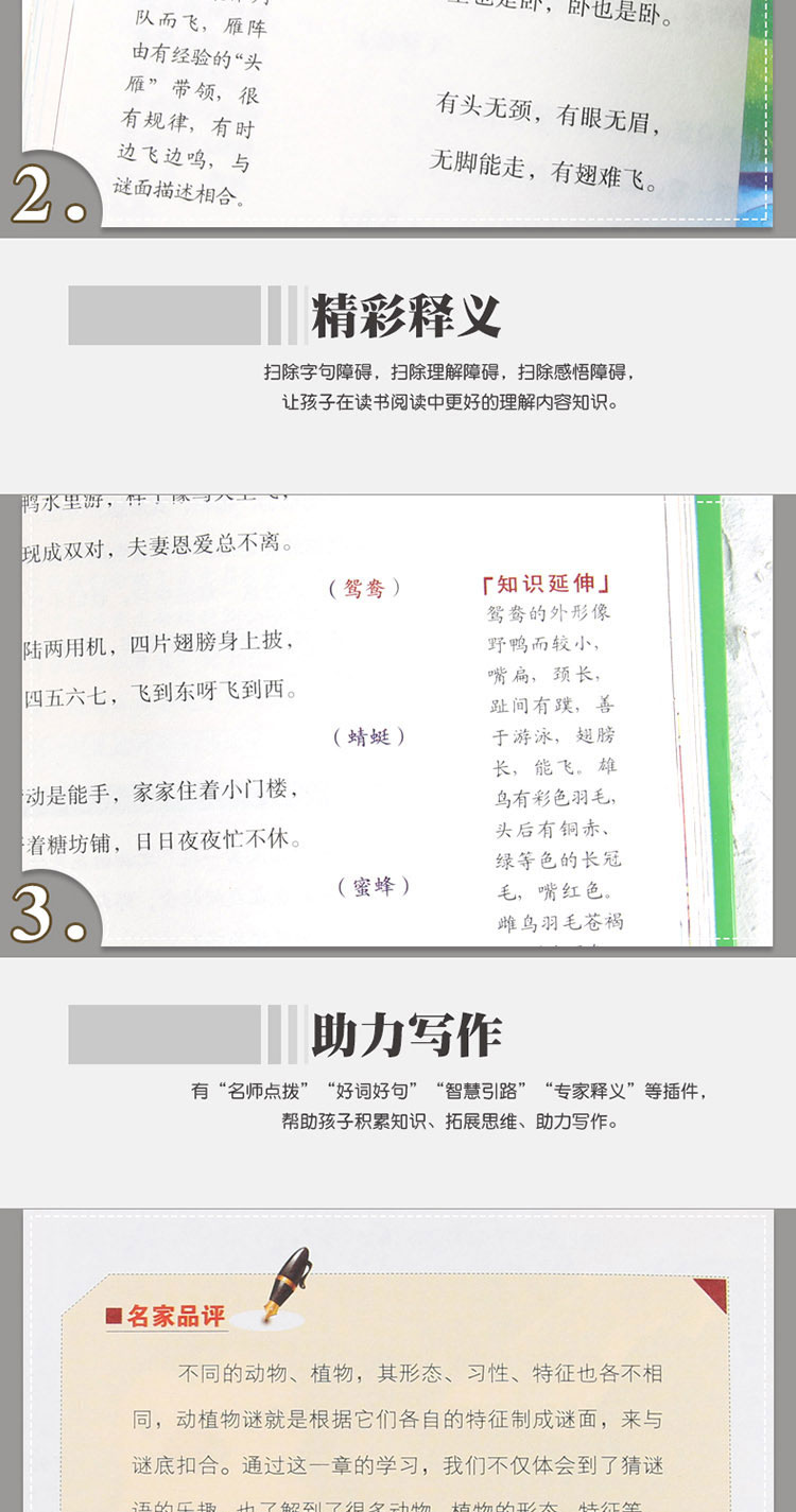 4本36.8元】彩绘谜语大全 中小学课文名著名家选集 无障碍阅读名师点评 北大教授推荐 小学生课外阅读书籍 三四五六年级优选