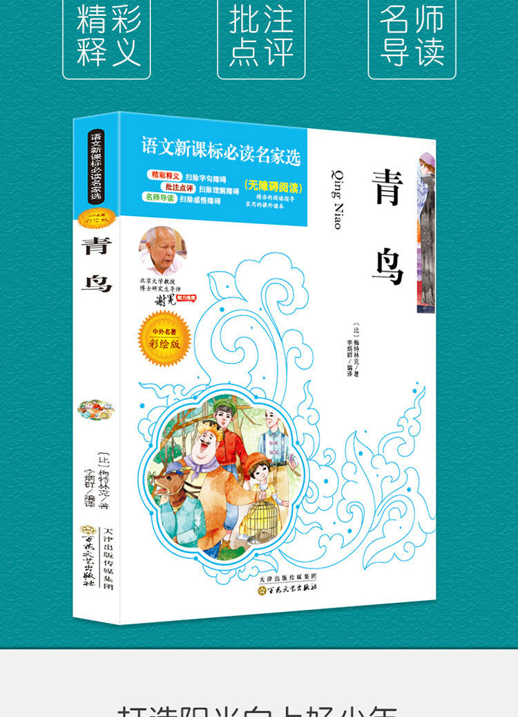4本36.8元】 青鸟彩图精彩释义批注点评名师导读无障碍阅读语文课文名家选国学经典6-15岁中小学生儿童文学中外名著阅读书籍