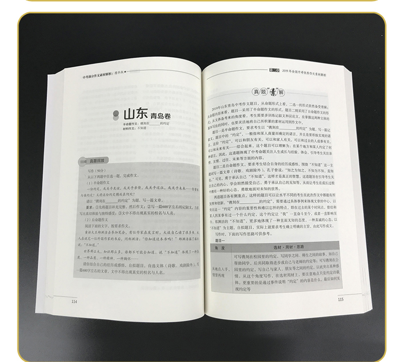 备考2020中考满分作文备考2019素材解析年中考初中生作文中学生获奖作文优秀作文大全新概念作文初一初二初三七八九年级作文辅导书