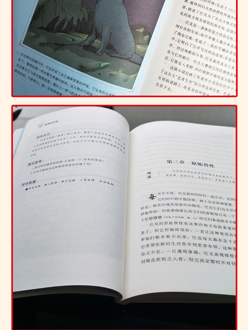 荒野的呼唤原著正版图书 无障碍阅读版 小学生课外阅读书籍 三四五六年级课外书必读经典书目儿童文学故事读物6一12岁畅销书智慧熊