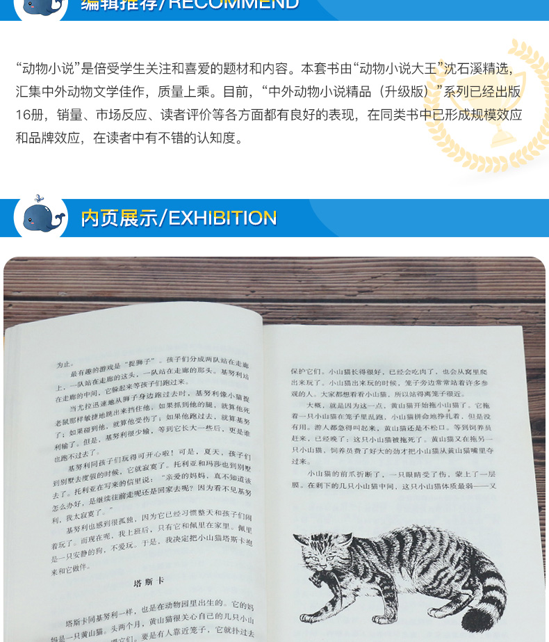 正版包邮 孤岛苍狼 中外动物小说升级版 沈石溪动物小说单本7-8-9-12周岁儿童文学三四五六年级小学生课外书籍 安徽少年儿童出版社