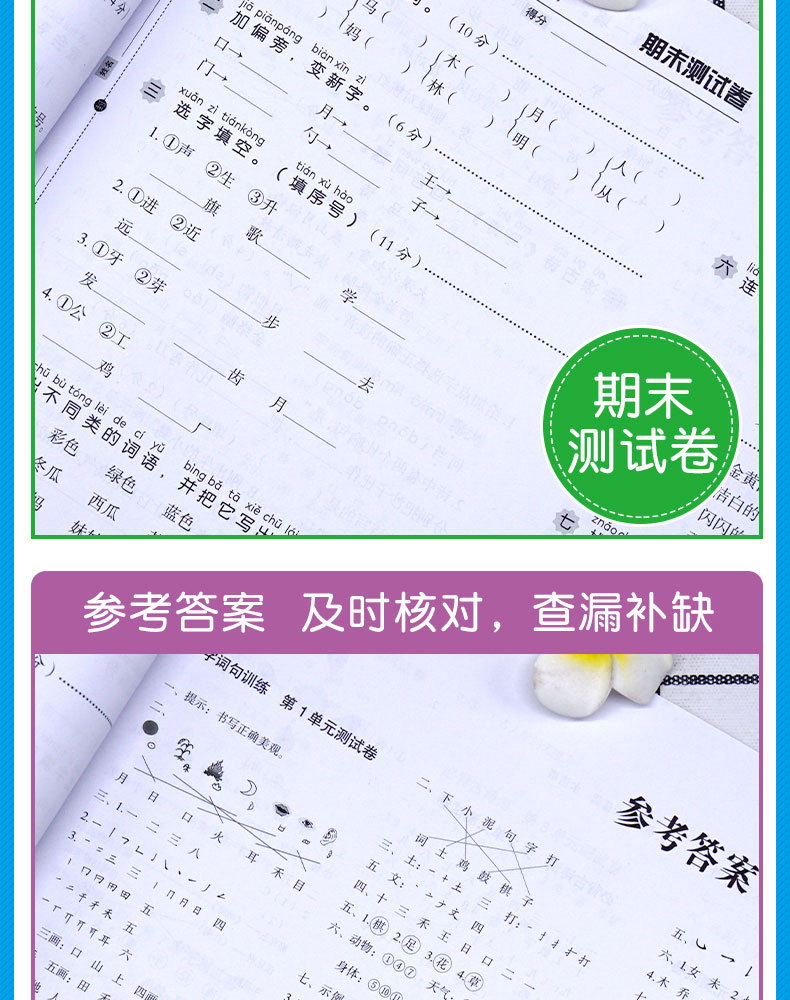 小帮手专项同步卷：字词句训练+必背古诗词 语文 1上 开心教育 广东人民出版社