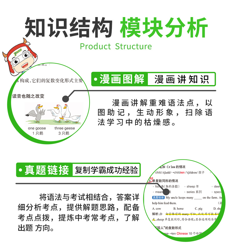 初中英语语法大全2020pass绿卡图书初一初二初三七年级八年级九年级中考复习资料辅导书知识大全中学语法全解词汇学霸专练清单2020