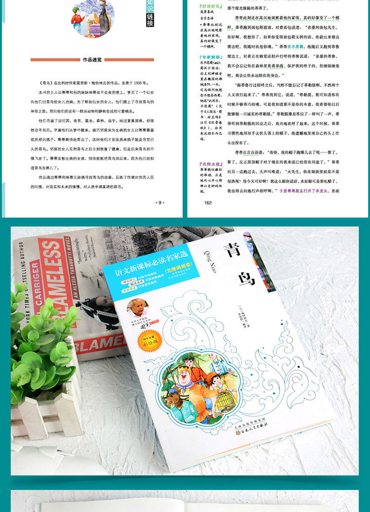 4本36.8元】 青鸟彩图精彩释义批注点评名师导读无障碍阅读语文课文名家选国学经典6-15岁中小学生儿童文学中外名著阅读书籍