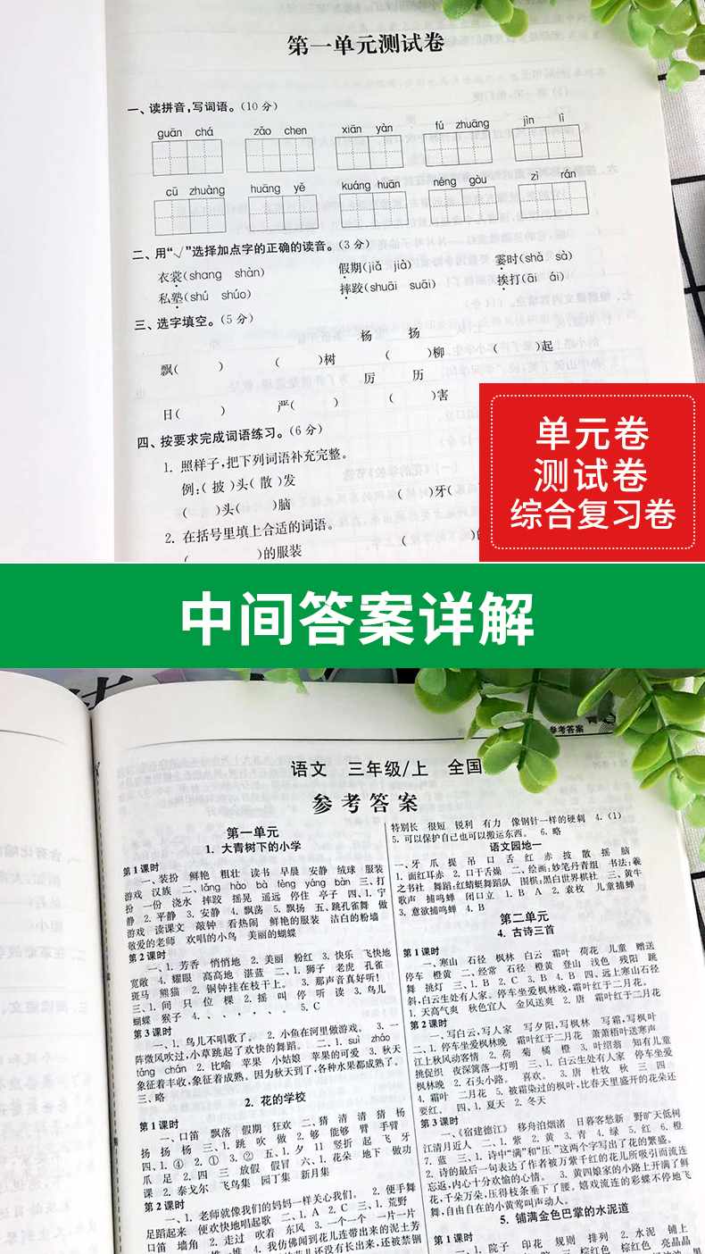 现货2020秋新版金三练三年级上册语文人教数学英语共三本江苏教版金3练3上期中期末测试卷课课练小学书同步训练SJ天天练课堂演练