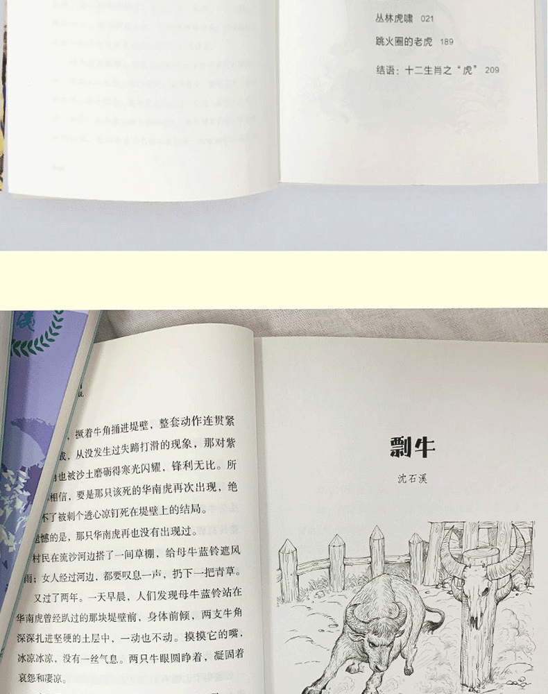 沈石溪十二生肖动物小说全套12册 最后的马王 雄猴的战争 小学生中学生课外阅读书籍少年儿童6-9-12-15周岁故事读物沈石溪的书全集