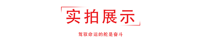 2020新版中学教材全解8八年级下册语文全解 薛金星人教版教辅书8八年级下册语文教材全解初二下册语文全解初中语文辅导