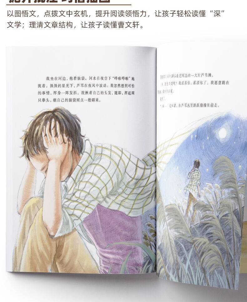 正版曹文轩画本全5册曹文轩系列儿童文学的书正版包邮纯美小说文集 小学生四五六年级课外阅读书籍必读老师 雪灯笼 一头特别牛的牛