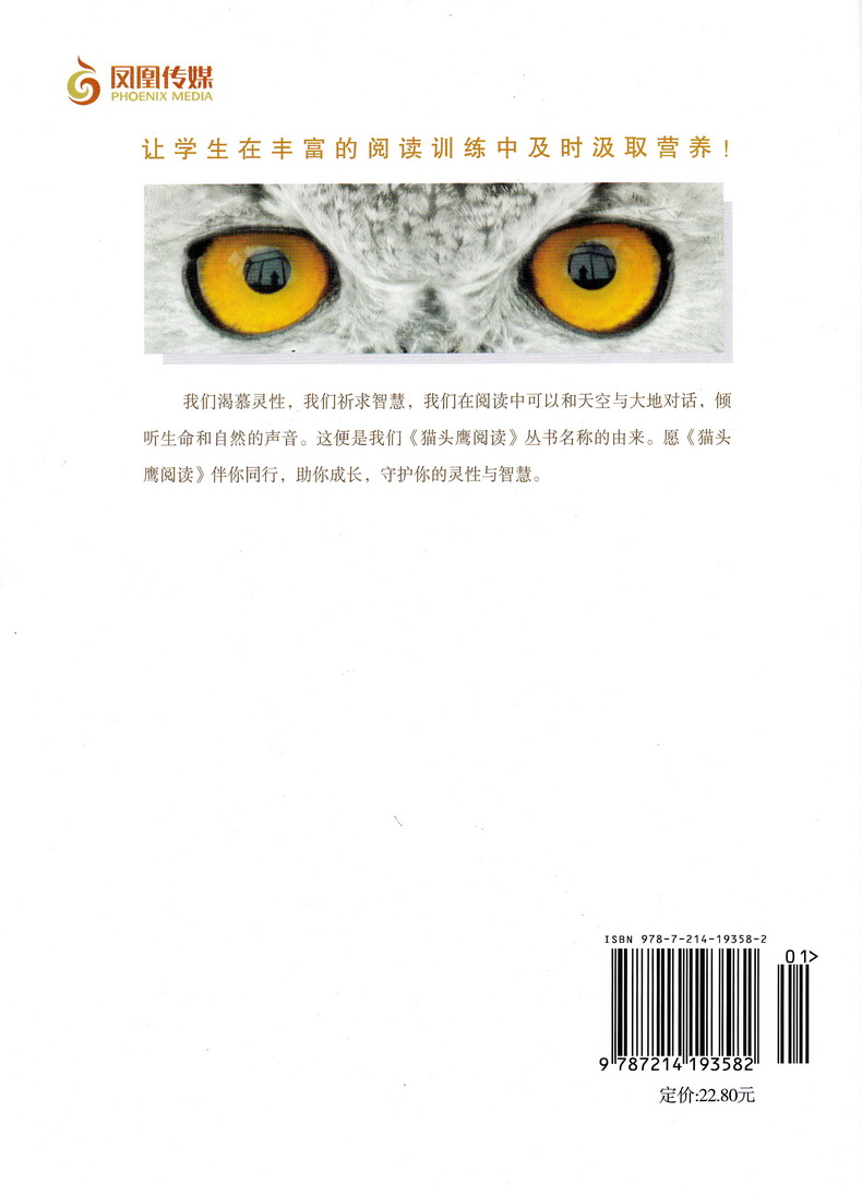 猫头鹰阅读 二年级上下册课标通用版 小学生2年级语文课外现代文阅读指导训练 班主任推荐课本学习阅读作文技巧练习册教辅资料书