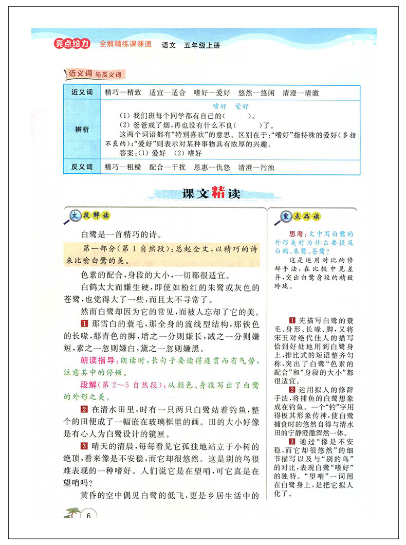 亮点给力全解精练课课通 语文 五年级上册 小学5年级上同步课本讲解教材全解读练习册辅导资料书小学教辅书籍 北京教育出版社QGD