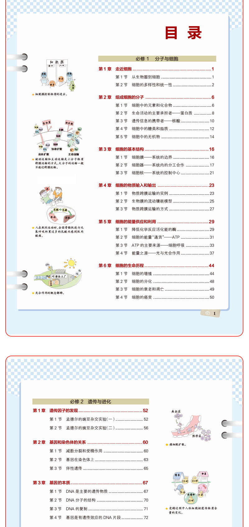 【高中生物 全国版】2021新版学霸笔记高中生物 PASS绿卡图书漫画图解 高一1高二2高三3适用 高考生物状元提分笔记 高中复习资料书