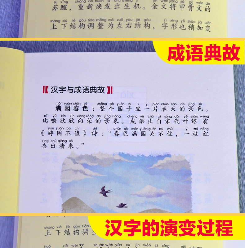 正版书 汉字王国的故事全套4册注音版彩图小学版有故事的汉字第一辑3-6-9-10周岁二年级小学生三年级中国汉字的故事有趣图解一年级