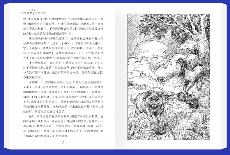 全8册 国际大奖名著系列 草原上的小木屋正版三四五六年级彩虹鸽儿童文学书8-12岁小学生课外阅读故事
