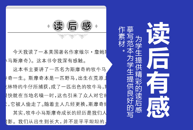 全8册 国际大奖名著系列 草原上的小木屋正版三四五六年级彩虹鸽儿童文学书8-12岁小学生课外阅读故事
