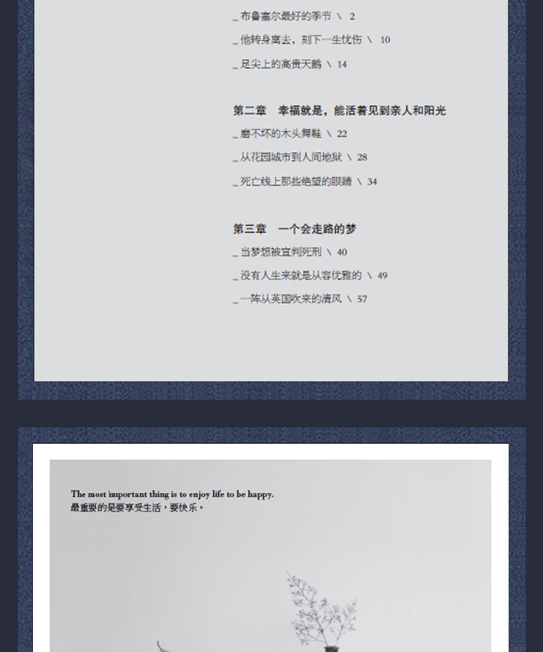奥黛丽.赫本传  有些风华，只属于一个年代，而有些美丽，却可以成为经典 向你讲述一个集优雅、精致、美