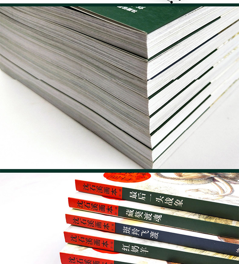 全套23册草房子画本正版包邮曹文轩系列儿童文学 沈石溪动物小说全集的书 杨红樱校园小说系列三四五六年级必读小学生课外阅读书籍