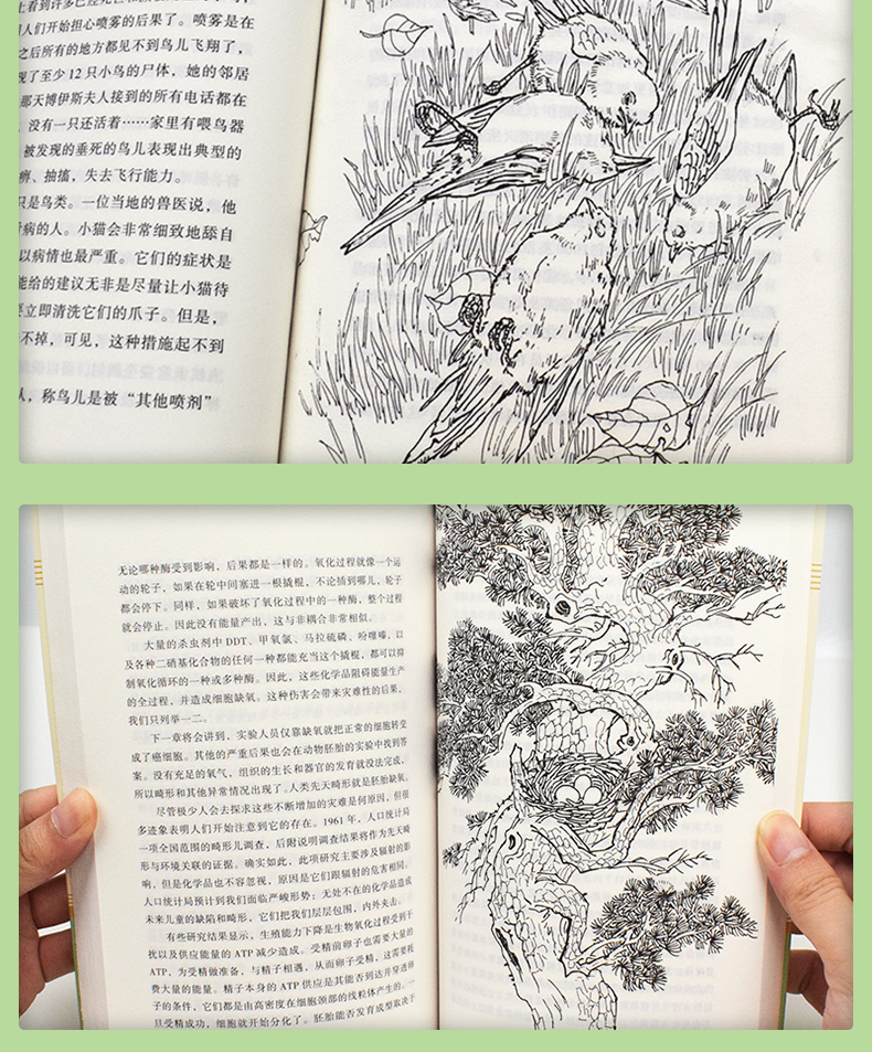 全套4本 红星照耀中国昆虫记原著完整版人教版正版八年级课外阅读书籍必读 初中生初二上册初中和书目8语文长征文学