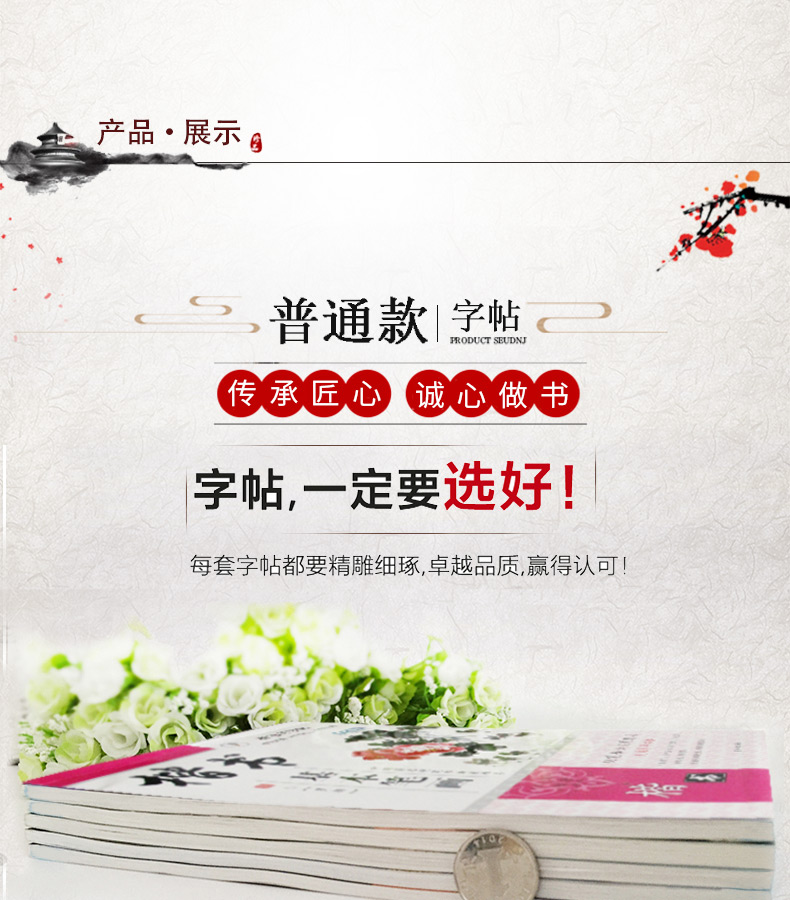 楷书习字帖 中小学生钢笔字帖 楷书间架结构正版 钢笔字帖学与练 成人楷书速成 学生临摹楷书练字帖文艺字帖学生字帖 罗扬硬笔书法