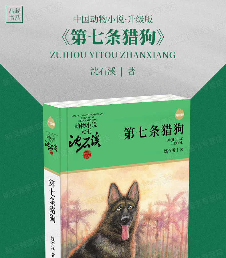 第七条猎狗 沈石溪动物小说全集系列单本正版 小学生课外阅读书籍三四五六年级课外书班主任推荐必读儿童故事读物6-12周岁10-15岁