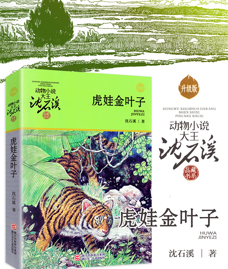 虎娃金叶子/动物小说大王沈石溪品藏书系 沈石溪精选全集作品大全 经典儿童文学 9-10-12-15岁少儿推荐非必读课外书 正版畅销书