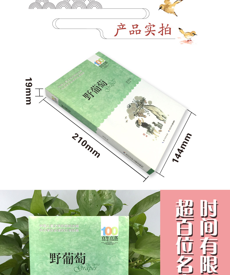 正版 野葡萄 葛翠琳著 新版百年百部中国儿童文学经典书系 长江少年儿童出版社 中小学生中短篇童话集青少年课外阅读三年级课外书