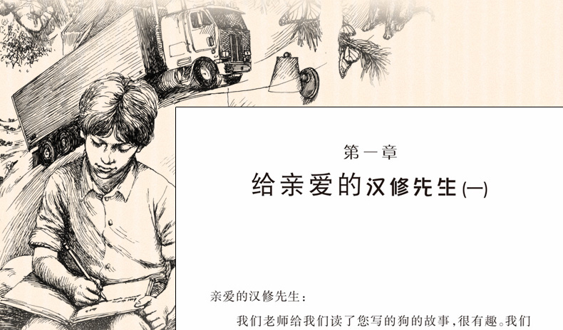 親愛的漢修先生三年級正版書國際大獎小說紐伯瑞兒童文學金獎作品勵志