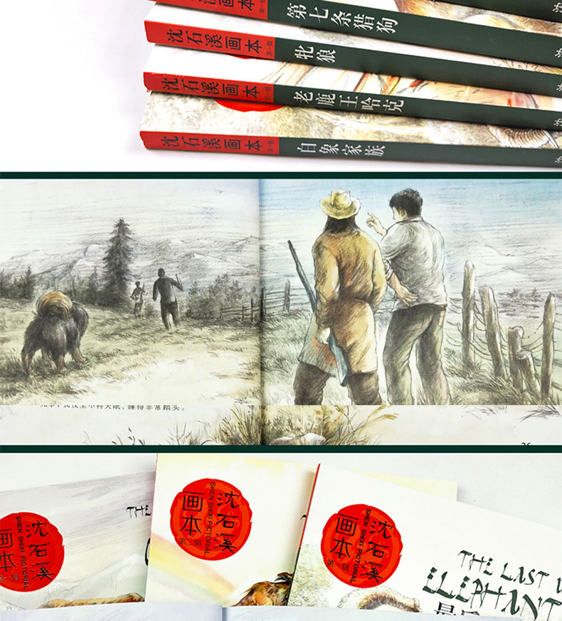 全套23册草房子画本正版包邮曹文轩系列儿童文学 沈石溪动物小说全集的书 杨红樱校园小说系列三四五六年级必读小学生课外阅读书籍
