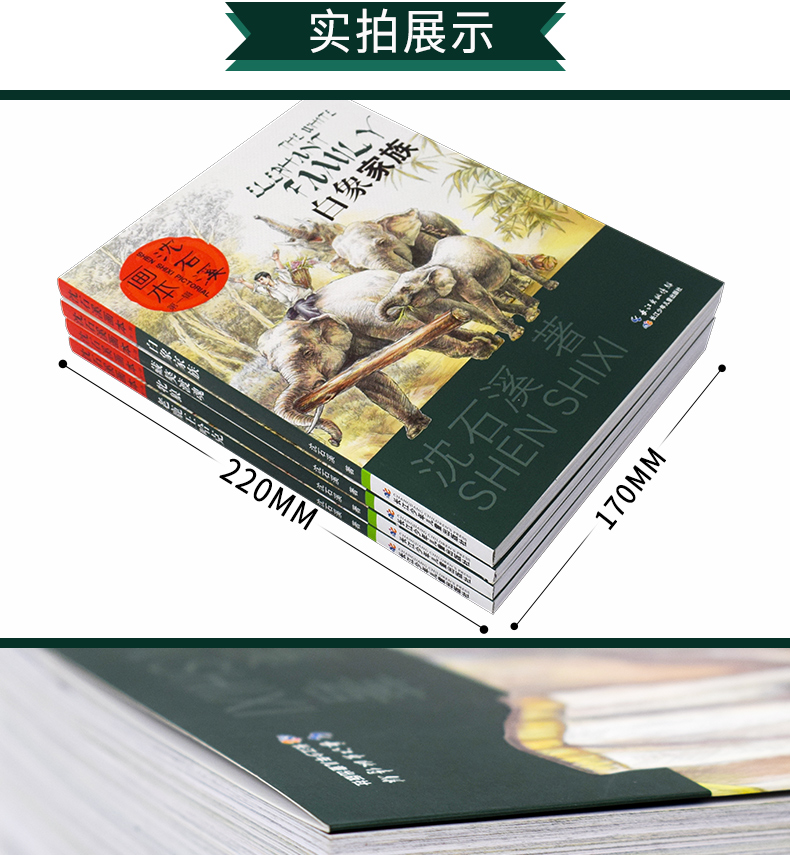 沈石溪动物小说全集系列4册白象家族藏獒渡魂 正版包邮小学生三四五六年级课外书必读的初中课外阅读书籍儿童读物7-10-12-15岁