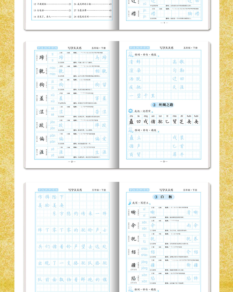 2020新版 天天秀字帖-五年级上下两册 小学生写字帖语文辅导书籍正版 中小学生基础训练儿童练字本正楷铅笔硬笔书法临摹楷体练字帖