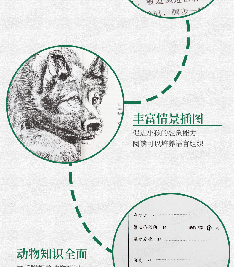 第七条猎狗 沈石溪动物小说全集系列单本正版 小学生课外阅读书籍三四五六年级课外书班主任推荐必读儿童故事读物6-12周岁10-15岁