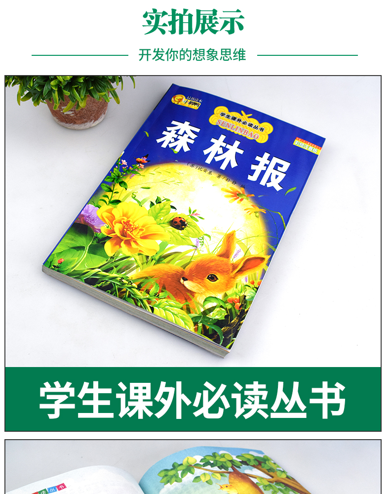 森林报春夏秋冬全集 正版书籍班主任推荐彩色读物必读书籍 小学生四五六年级6-10-12周岁课外书儿童故事书全套合集 森林报未注音版