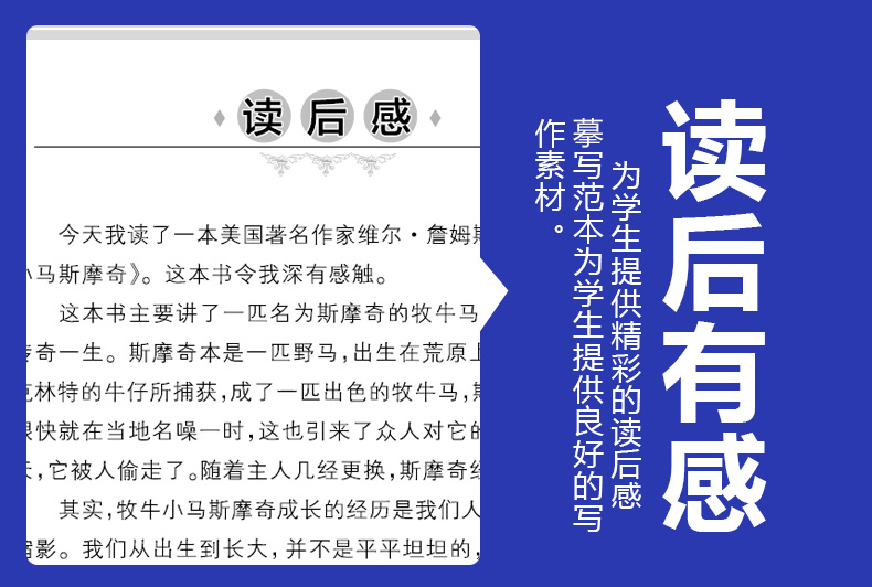 全套10册 纽伯瑞国际大奖小说儿童文学奖 草原上的小木屋正版 兔子坡 彩虹鸽 三四五六年级课外书必读的 初中生小学生课外阅读书籍