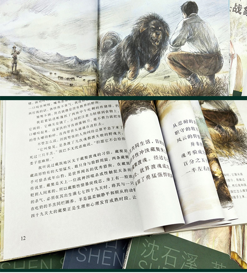 全套23册草房子画本正版包邮曹文轩系列儿童文学 沈石溪动物小说全集的书 杨红樱校园小说系列三四五六年级必读小学生课外阅读书籍