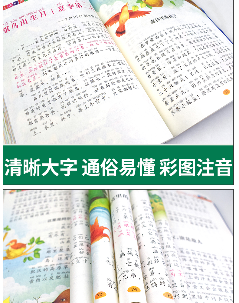 森林报春夏秋冬全集 正版书籍班主任推荐彩色读物必读书籍 小学生四五六年级6-10-12周岁课外书儿童故事书全套合集 森林报未注音版