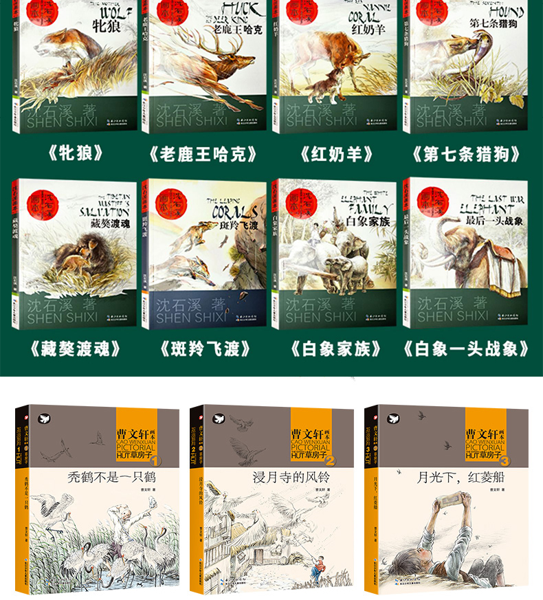 全套23册草房子画本正版包邮曹文轩系列儿童文学 沈石溪动物小说全集的书 杨红樱校园小说系列三四五六年级必读小学生课外阅读书籍