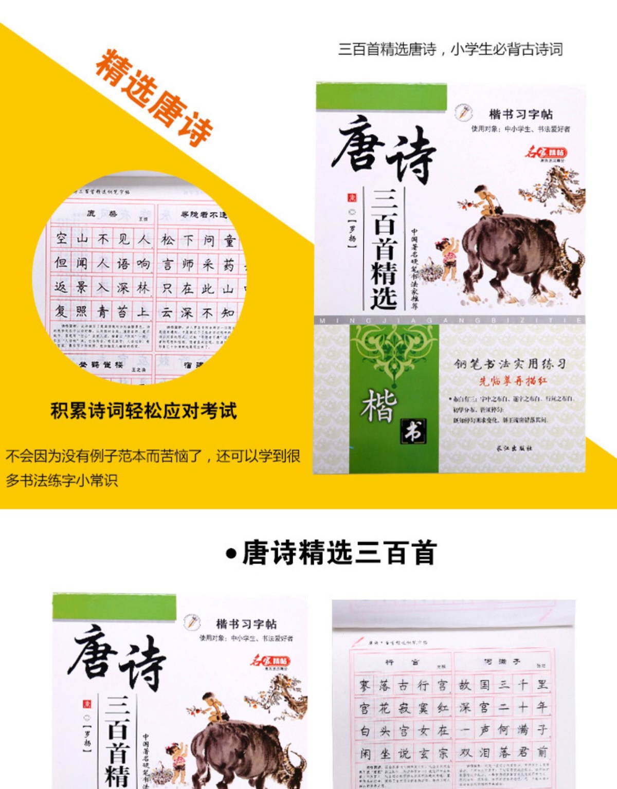 唐诗三百首+宋词三百首2册 硬笔书法字帖楷书小学初高中学生成人钢笔字帖临摹练字帖古诗词字帖 夹蒙纸书法实用练习写字临摹描红