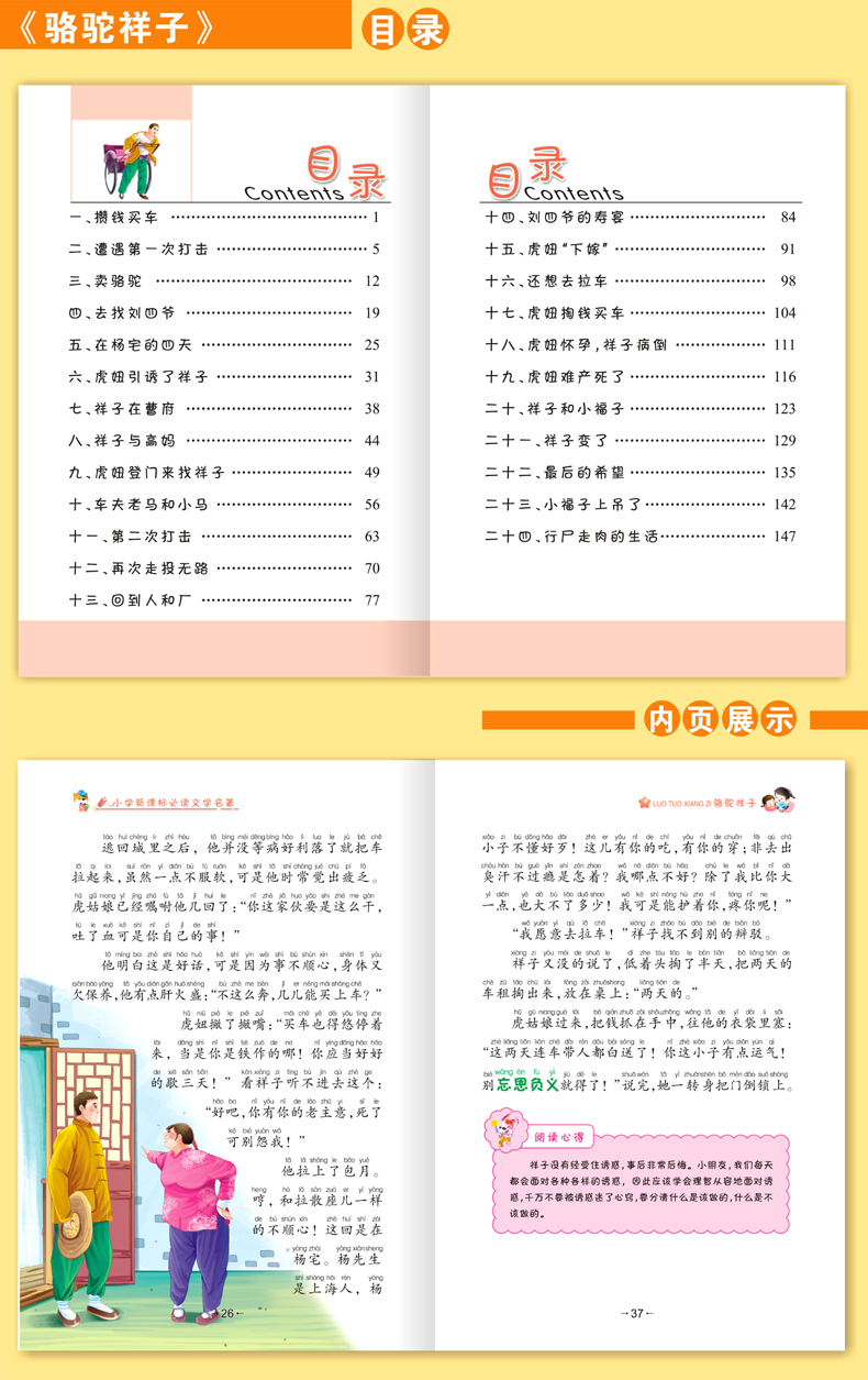 10册小学生新课标必读文学名著(彩图注音版)稻草人 城南旧事 朝花夕拾 骆驼祥子 呐喊 寄小读者 繁星春水 朱自清散文