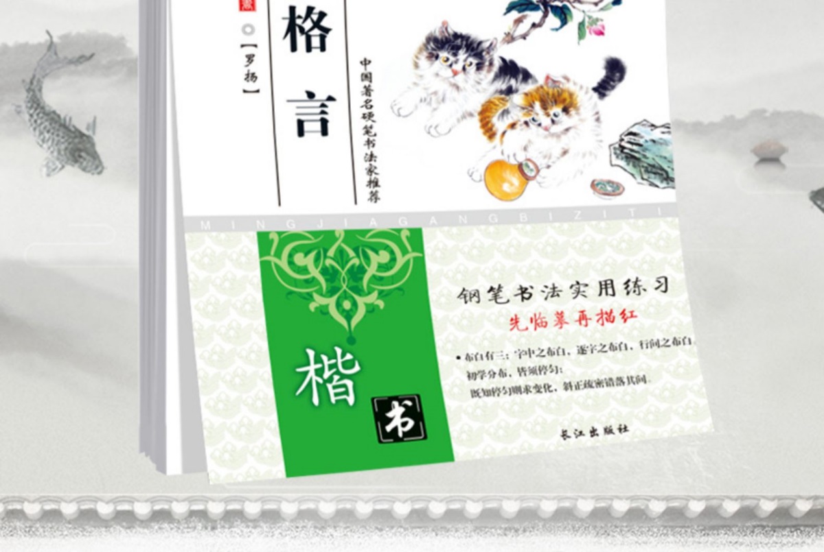 楷书习字帖-名人格言成语故事 常用标准汉字 双面书夹蒙纸小学初高中学生成人钢笔书法硬笔书法实用练习成人中小学生写字临摹描红
