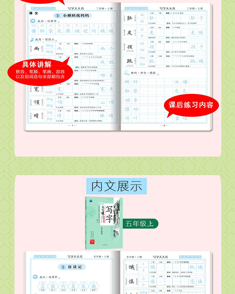 2020新版 天天秀字帖-五年级上下两册 小学生写字帖语文辅导书籍正版 中小学生基础训练儿童练字本正楷铅笔硬笔书法临摹楷体练字帖