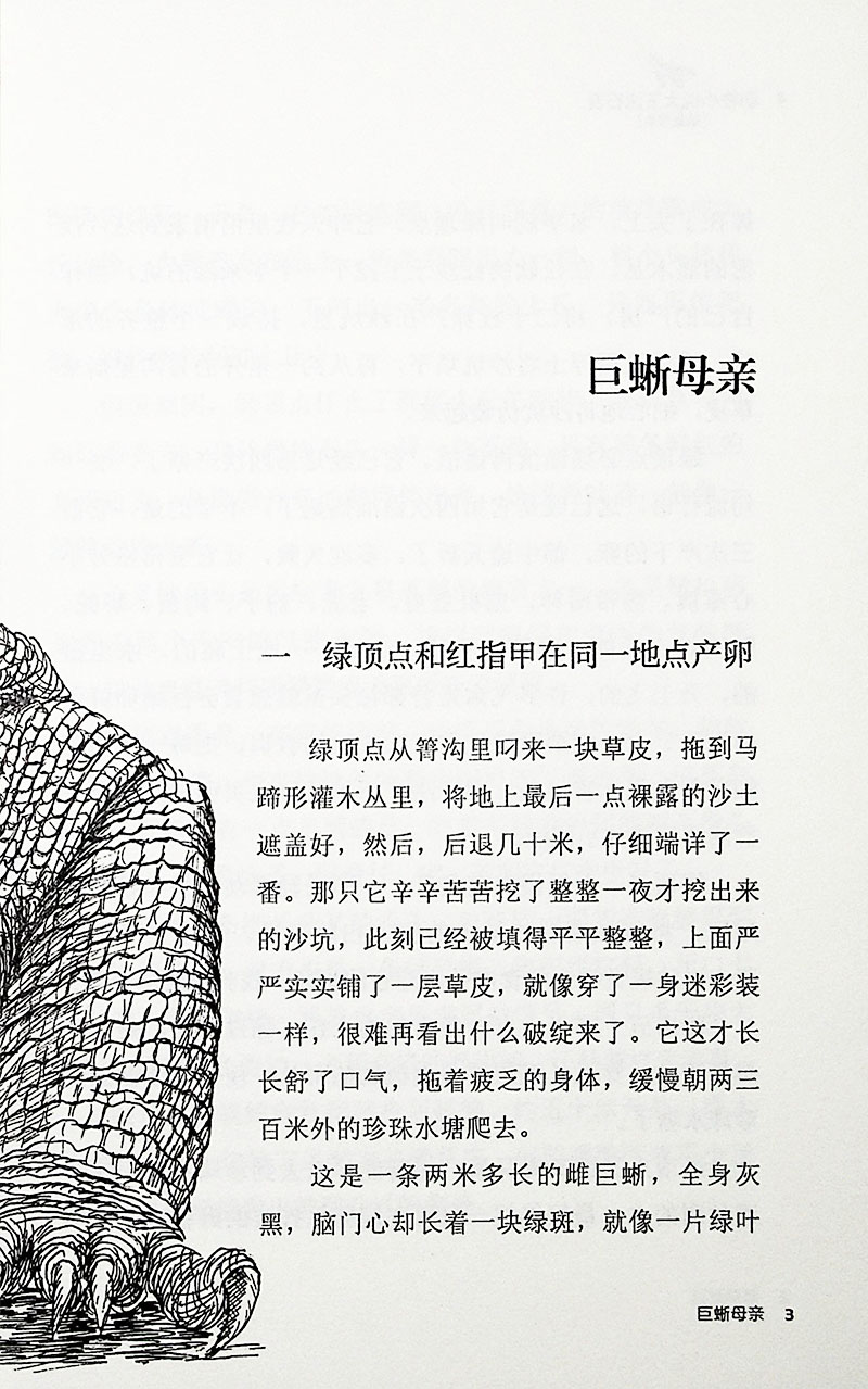 正版动物小说大王沈石溪 巨蜥母亲 三四五六年级课外书必读初中小学生课外阅读书籍 9-10-12-15课外推荐阅读书籍 中小学生推荐阅读
