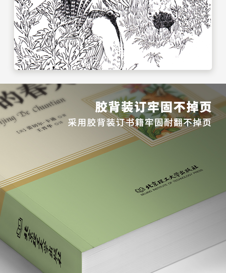 全套4本 红星照耀中国昆虫记原著完整版人教版正版八年级课外阅读书籍必读 初中生初二上册初中和书目8语文长征文学